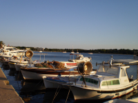 Kikötő
